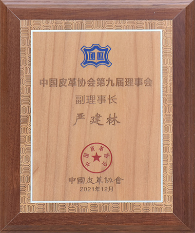 第九屆理事會(huì)副理事長