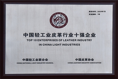 皮革行業(yè)十強(qiáng)企業(yè)