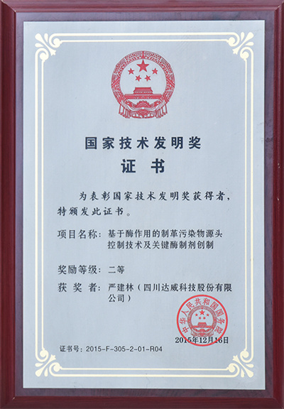 國家技術(shù)發(fā)明獎(jiǎng)